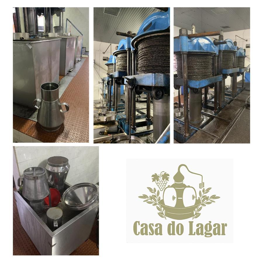 Casa Do Lagar Holiday home Agilde